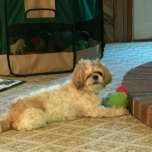 Meet your Posher, Celeste